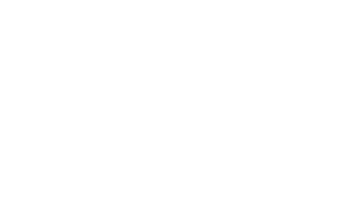 Apex Bridge Capital